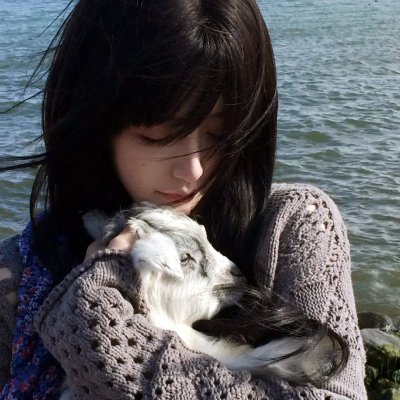 万花锦绣海报